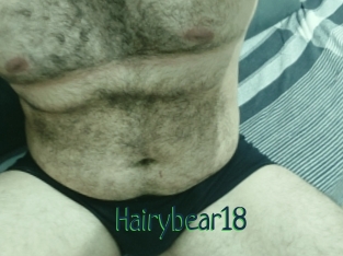 Hairybear18