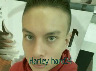 Harley_hard24