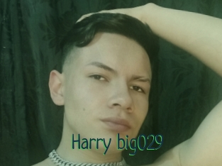 Harry_big029