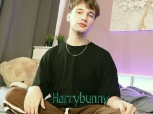 Harrybunny