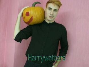 Harrywalters