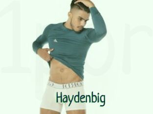 Haydenbig