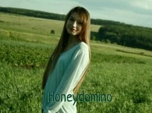 Honeydomino