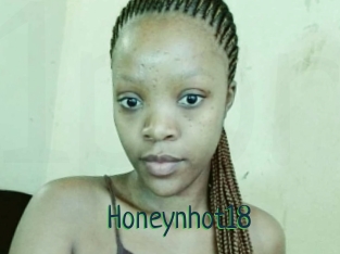 Honeynhot18