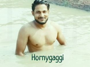 Hornygaggi