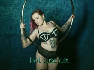 Hot_cute_cat