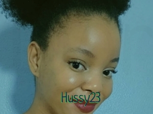 Hussy23