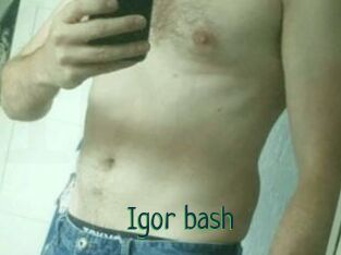 Igor_bash