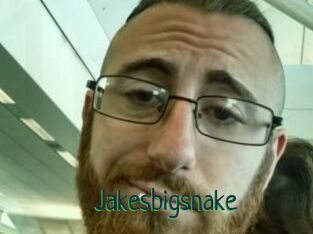 Jakesbigsnake