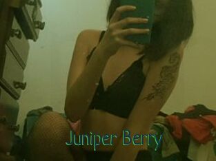 Juniper_Berry