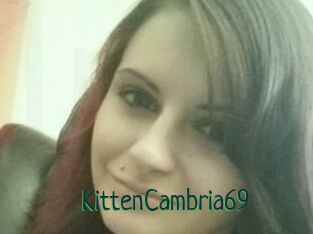 KittenCambria69