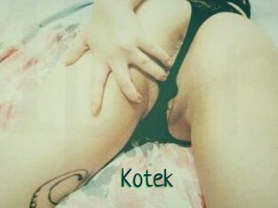 Kotek