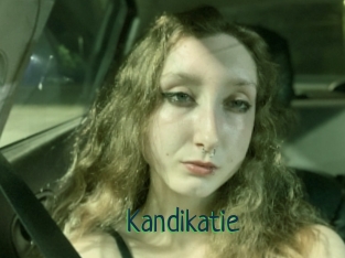 Kandikatie