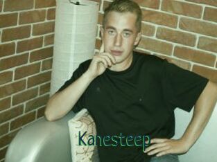 Kanesteep