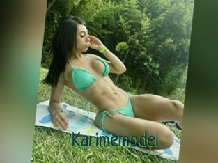 Karimemodel