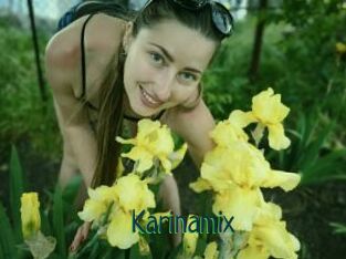 Karinamix