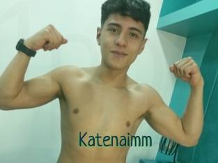 Katenaimm