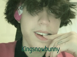 Kingsnowbunny