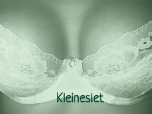 Kleineslet