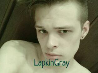 LapkinGray