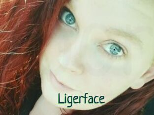 Ligerface