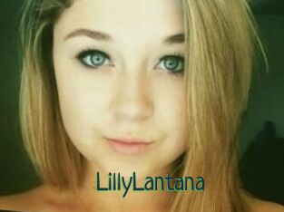 LillyLantana