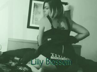 Lilly_Blossom