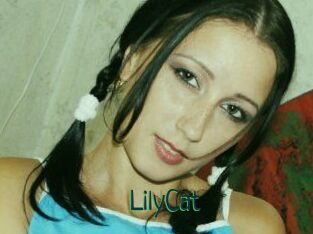 Lily_Cat_