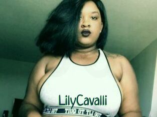 Lily_Cavalli