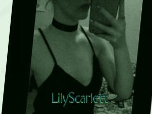 Lily_Scarlett