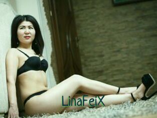 LinaFeiX