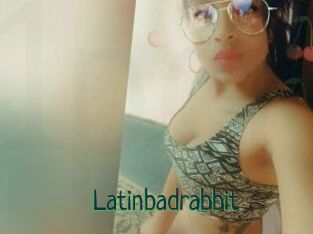 Latinbadrabbit