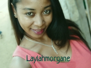 Laylahmorgane