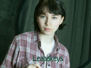 Leanakeys