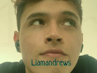 Liamandrews