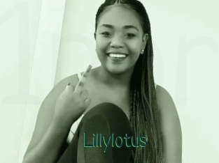 Lillylotus