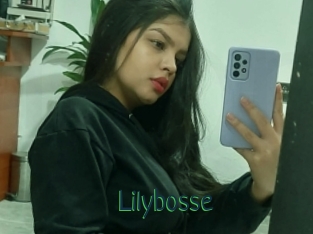 Lilybosse