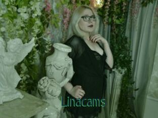 Linacams