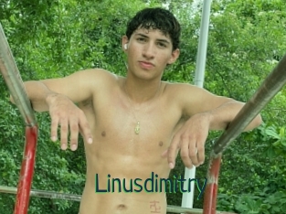 Linusdimitry