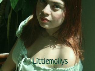 Littlemollys