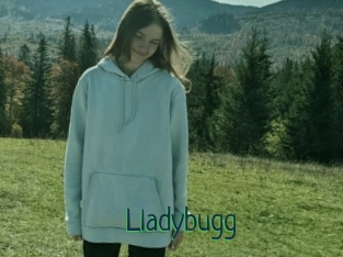 Lladybugg