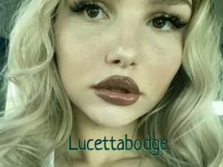 Lucettabodge