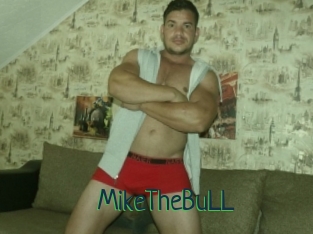 MikeTheBuLL