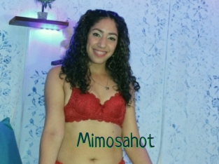 Mimosahot