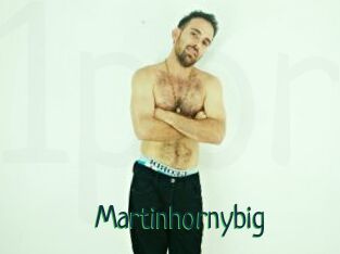 Martinhornybig