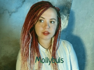 Mollybuls