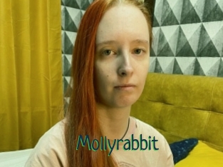 Mollyrabbit