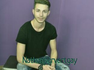 Nathanpervertgay