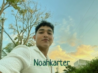 Noahkarter