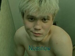 Noasnow